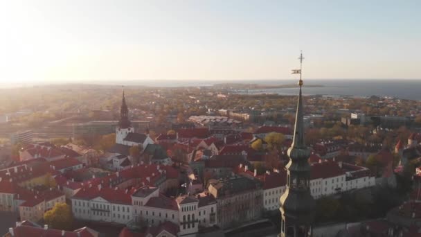 Zobacz Top na zabytkowym centrum Tallinna w Estonii. Czerwone dachy starych domów w europejskim mieście Tallinn. Starożytna architektura. Dach ze skrzydłami. — Wideo stockowe