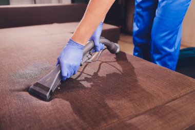 Profesyonel yöntemle temizlenmiş kanepe kimyasalları. Döşeme mobilyaları. Erken bahar temizliği ya da düzenli temizlik.