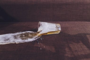 Ailede alkolizm var. Bira şişesi ve kanepeye dökülmüş bira..