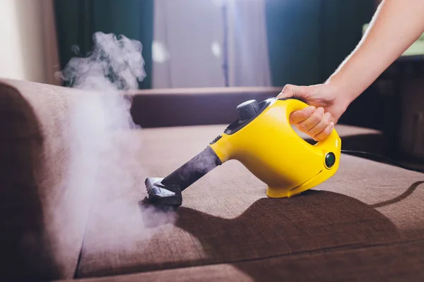 Dry cleaners employee removing dirt from furniture in flat, closeup.