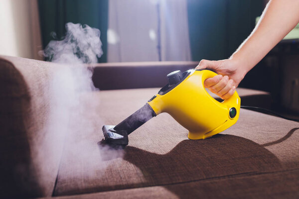 Dry cleaners employee removing dirt from furniture in flat, closeup.