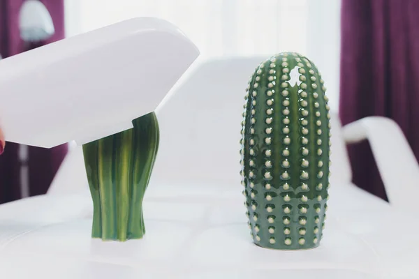 Laserepilation des Beines in einem modernen Schönheitssalon. Kaktus — Stockfoto