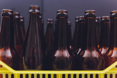 Dusty vintage yellow beer crate with empty brown beer bottles on white background.