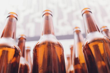 close-up bira şişeleri, beyaz zemin üzerine izole ortada bir odaklanma.