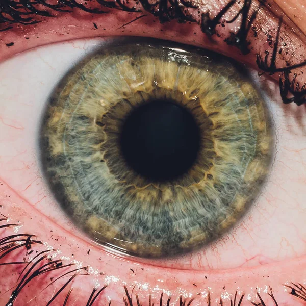 Makro des Auges eines Mannes. geringe Schärfentiefe. — Stockfoto