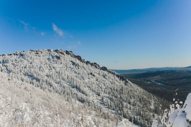 dağ ağaçta köknar kış in Rime'ı ve kar kaplı.