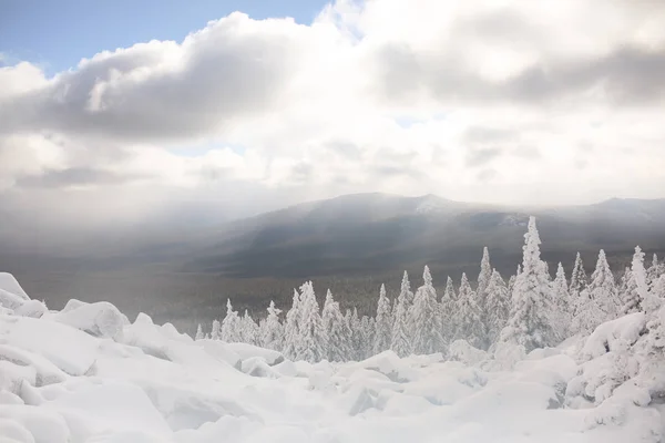 겨울의 수 빙, 눈 덮여 산에 전나무 나무. — 스톡 사진