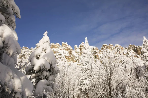 겨울의 수 빙, 눈 덮여 산에 전나무 나무. — 스톡 사진