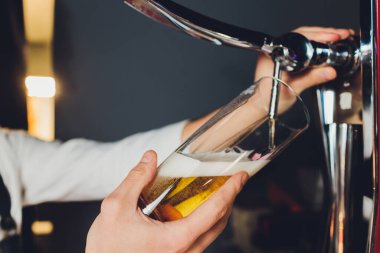 Close up of a male bartender dispensing draught beer in a pub holding large glass tankard under a spigot attachment on a stainless steel keg.