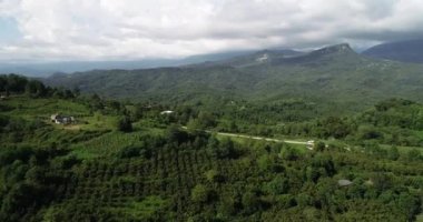 Abhazya güzel dağlarda. Doğanın bir video.