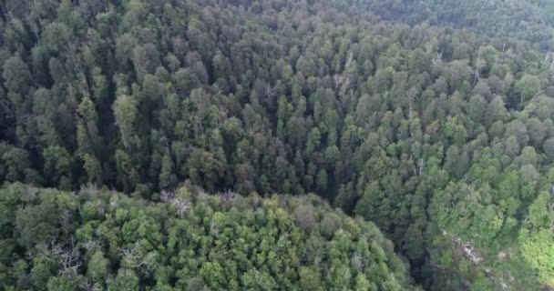 Hermosas montañas en Abjasia. Un video de la naturaleza . — Vídeos de Stock