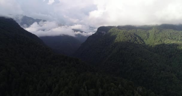 Красивые горы в Абхазии. Видео о природе . — стоковое видео