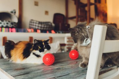 Salgın konsepti: evde kal. Kendine dikkat et. Hayat kurtarmak. COVID-19. CORONAVIRUS. kırmızı virüs molekülleri.