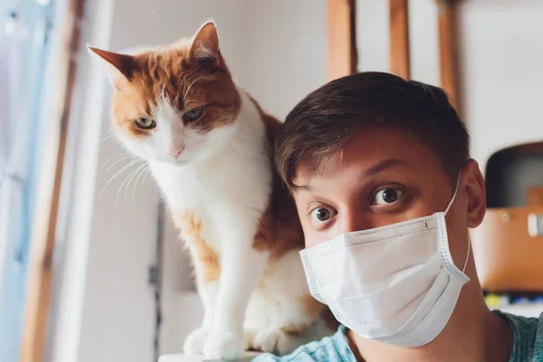 猫用の医療用マスク。ウイルスで保護された猫。家に隔離された猫. — ストック写真