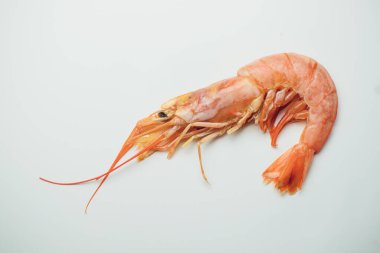 Kafası beyaz arka planda birkaç donmuş Arjantin kırmızı karidesi..