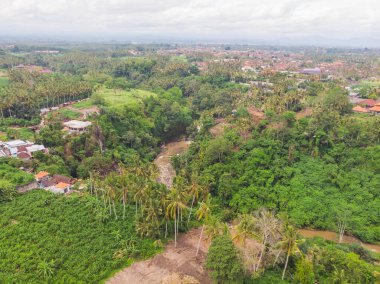 Pirinç tarlalarının, evlerin ve Endonezya 'nın Bali kentindeki Ubud yakınlarındaki bir yolun yukarıdan görünüşü.
