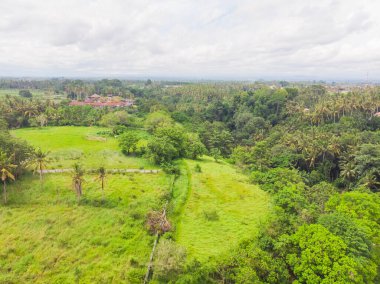 Pirinç tarlalarının, evlerin ve Endonezya 'nın Bali kentindeki Ubud yakınlarındaki bir yolun yukarıdan görünüşü.