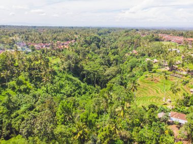 Yeşil renkli tarımsal paketlerin soyut geometrik şekillerinin üst görüntüsü. Sulu Bali pirinç tarlaları. Hava görüntüsü doğrudan alanın üstündeki İHA 'dan çekiliyor.