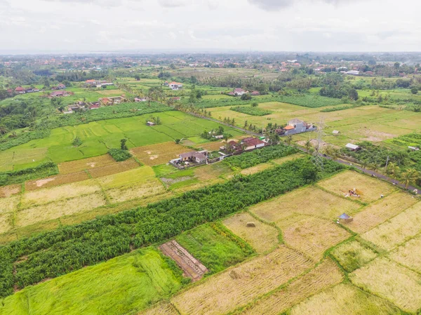 Ovanifrån utsikt över risfält, hus och en väg nära Ubud i Bali, Indonesien. — Stockfoto