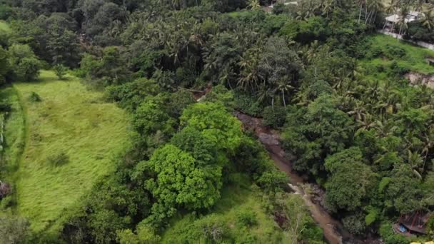 Tegenungan Waterfall är ett vackert vattenfall beläget i platåområde och det är en av de platser av intresse för Bali. — Stockvideo