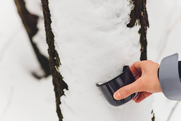 Man pours tea from a thermos. Winter forest. Close-up.