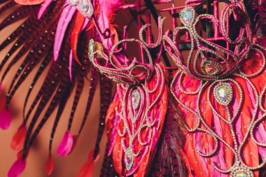 Brezilya Karnavalı. Parlak tropikal renklerde dans ediyor. Tonlama. Alanın derinliği.