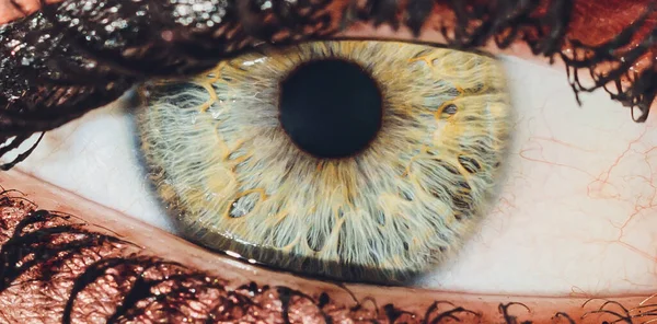 Macro del ojo de un hombre. Profundidad superficial del campo . —  Fotos de Stock