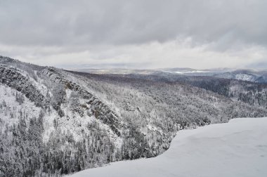 Uralların dağlarındaki kozalaklı ağaçlar AEgir Dağı 'nın tepesinde..