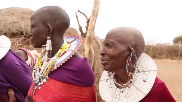 NGORONGORO, TANZANNIA - DEC 29, 2019: Masajský tanec. Masai předvést tradiční tanec přivítat návštěvníky ve své vesnici v blízkosti kráteru Ngorongoro. — Stock video