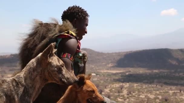 Ngorongoro, TANZANIA - FEBRUÁR 18: Egy azonosítatlan hadzabe bokszoló íjjal és nyíllal a vadászat során 2019. február 18-án Tanzániában. Hadzabe törzs fenyegeti kihalás. — Stock videók