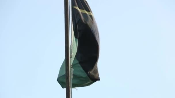 Bandera de Tanzania ondeando en el viento a plena luz del día en Tanzania, África . — Vídeos de Stock