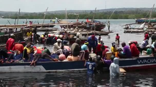 Занзибар, Танзания - ноябрь 04, 2019: Африканские рыбаки разгружают лодки с рыбой . — стоковое видео
