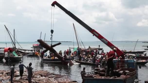 Занзибар, Танзания - ноябрь 04, 2019: Африканские рыбаки разгружают лодки с рыбой . — стоковое видео