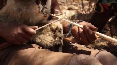 Masai 'nin silahlarını bileyen adamlarının yakın çekimi. tanzanya yakın çekim