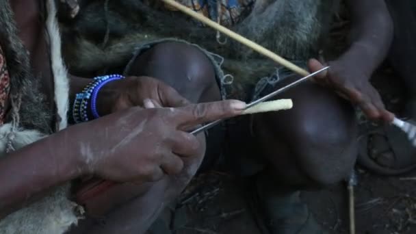 An unidentified Hadzabe bushman with bow and arrow during hunting Hadzabe tribe threatened by extinction. — Stock Video