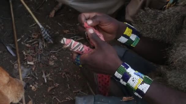 An unidentified Hadzabe bushman with bow and arrow during hunting Hadzabe tribe threatened by extinction. — Stock Video