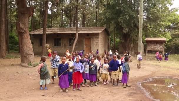 Ngorongoro,タンザニア- 2019年7月15日:タンザニアのザンジバルのアフリカ人の子供。. — ストック動画