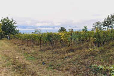 Yukarı Svaneti 'deki Kafkas Dağları' nın engebeli dağları ve karlı zirveleri, Gürcistan 'daki Büyük Kafkasya Dağları..