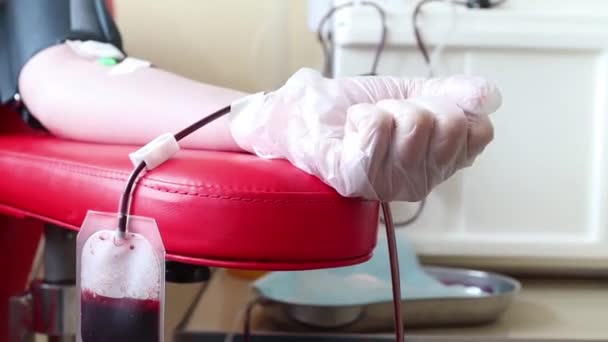Nahaufnahme der Blutentnahme im Labor. — Stockvideo