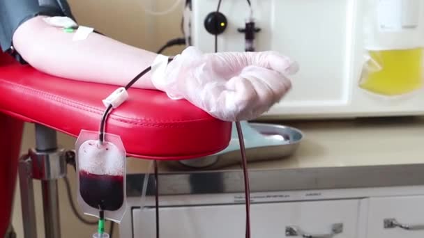 Close up of blood extraction in lab. — Stock Video