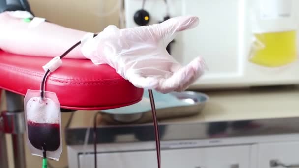 Крупним планом екстракція крові в лабораторії . — стокове відео