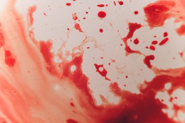 Çarpmanın etkisiyle beyaz porselenin üzerine taze kırmızı kan sıçramış. Korku temalı kavramlar ve fikirler için uzay alanını kopyalayın. makro