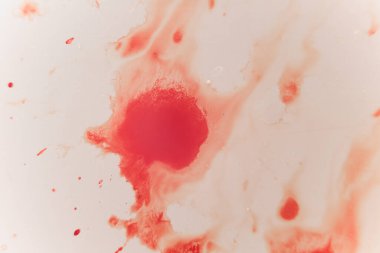 Çarpmanın etkisiyle beyaz porselenin üzerine taze kırmızı kan sıçramış. Korku temalı kavramlar ve fikirler için uzay alanını kopyalayın. makro