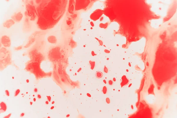 Čerstvě červená krev stříkance na bílém porcelánu s tečkami z nárazu. Kopírovat prostor pro horor tematické koncepty a nápady. makro — Stock fotografie