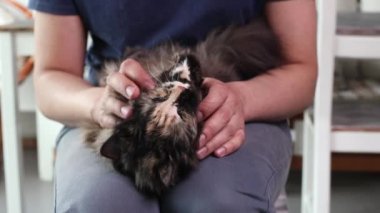 Kucak vuruşundaki kedinin el ve parmaklarıyla fotoğrafını çek..