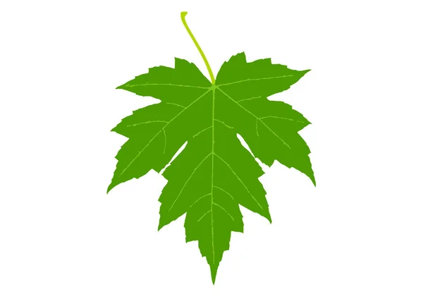 Diseño Del Logotipo Hoja Naturaleza — Vector de stock