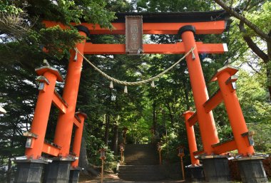 Tori kapı tapınak ya da tapınak kırmızı pagoda Fujiyoshida, Japonya