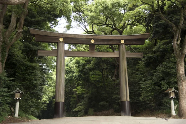 Tori portão e lâmpada no templo Meiji-jingu ou santuário em japonês — Fotografia de Stock