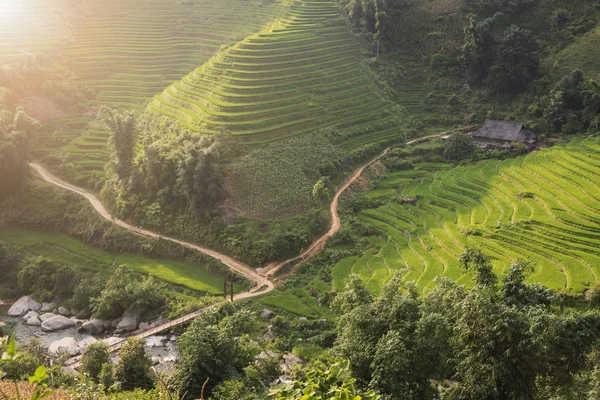 Západ slunce a zemědělství zelená rýžová pole a rýže terasové — Stock fotografie