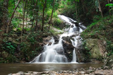 Şelale yemyeşil yağmur ormanları içinde. Chiang Mai, Tayland, Thailand.